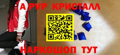 молекула духа Камышлов