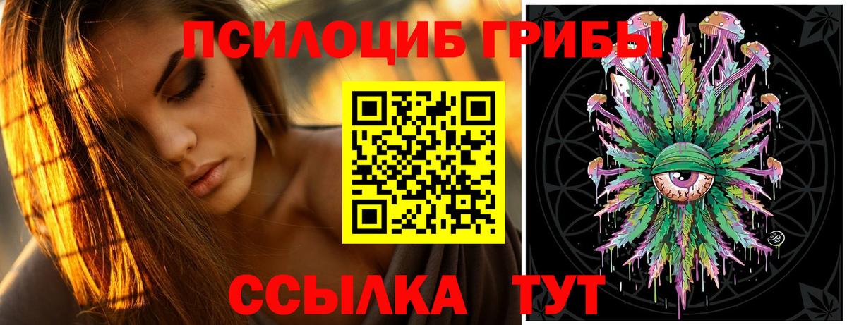 Кызыл  Галлюциногенные грибы мухоморы  Вход с VPN 